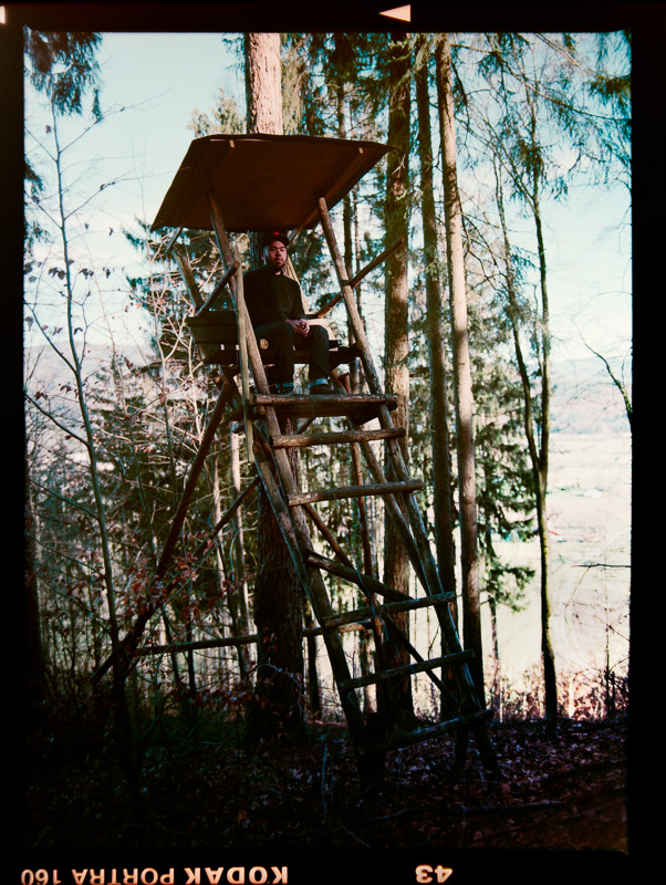 Photograph in the woods